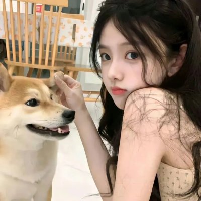 无为大师第三季